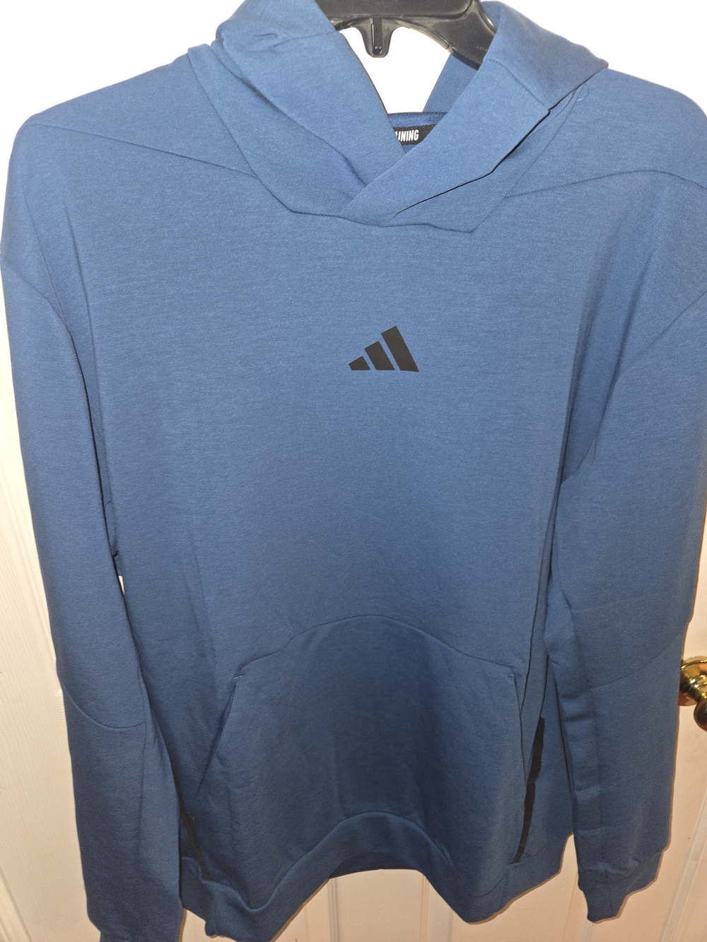 adidas Men's L Blue (Dusty Petrol) Training Pullover Hoodie